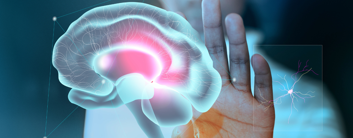 NeuroBrain: 4 patologias investigadas pela neurorradiologia